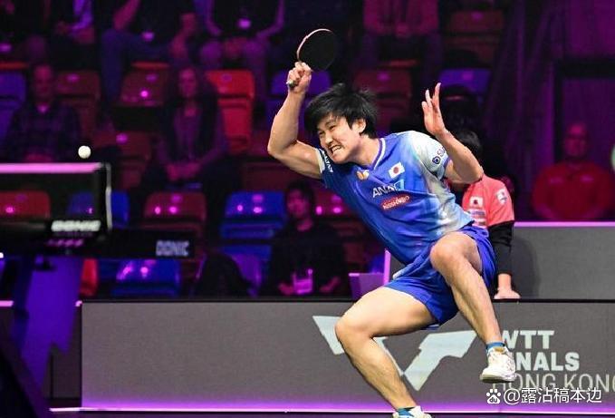 波兰队碾压德国队,张本智和关键制胜 波兰队碾压德国队,张本智和关键制胜