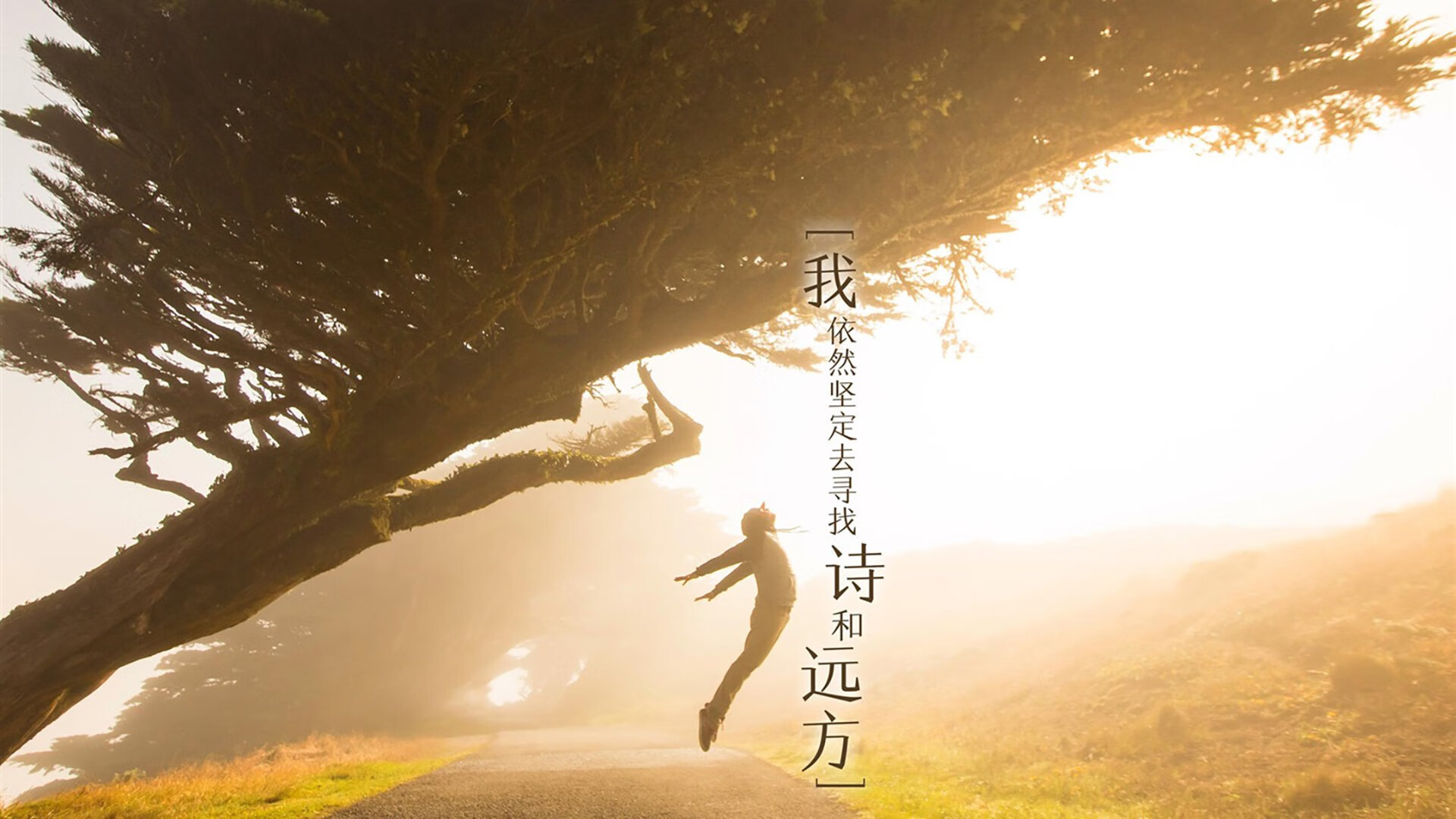 绿茵场上的乒乓智谋，瑞典队轻取英格兰队，许昕带队取胜之谜