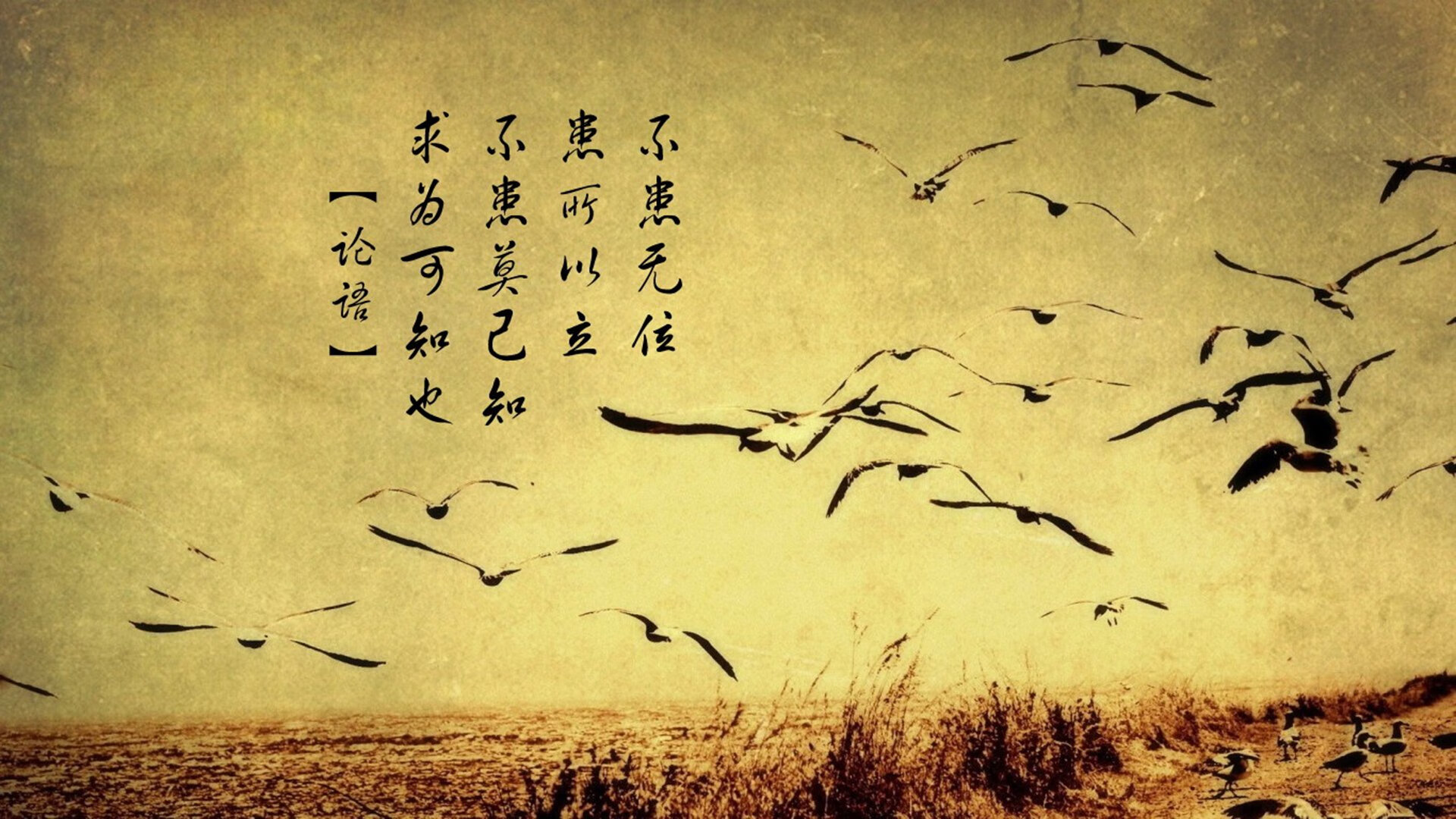 孤胆英雄的逆袭，陶汉林用一记隔扣唤醒沉睡的猛虎