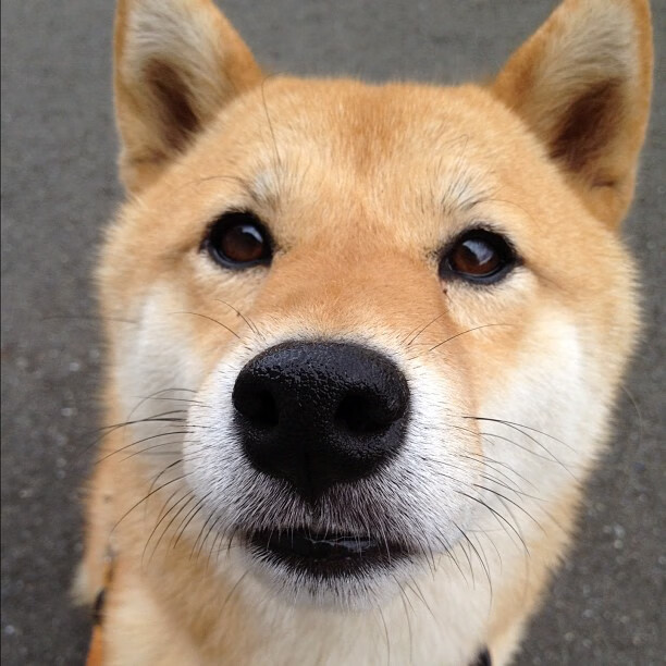 联合杯轻取温网,鲁德统治全场,新王改写网球秩序