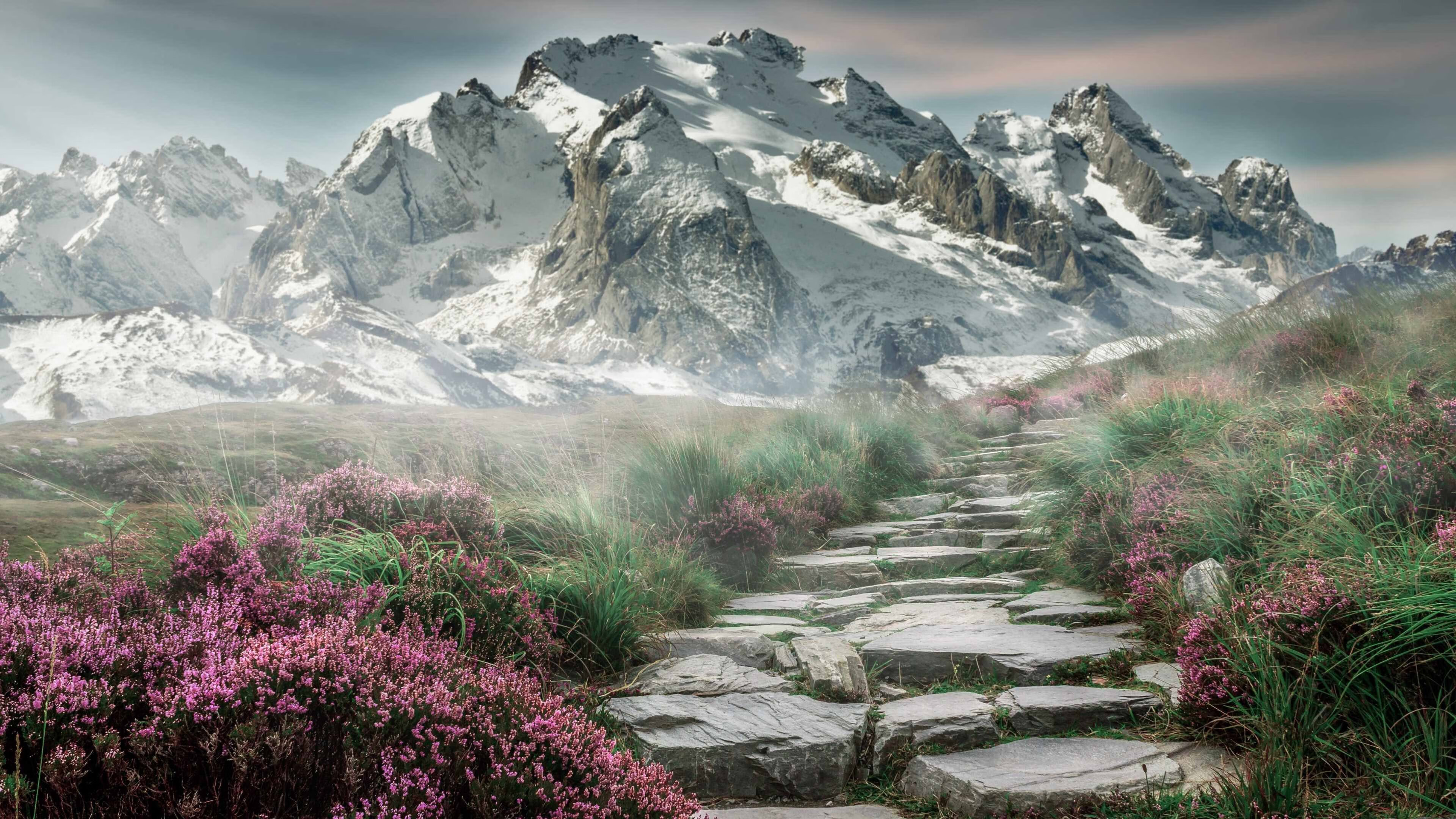 致命绝杀与铁血封盖！武切维奇从阴影走到聚光灯下，成为太阳横扫浙江的终极答案