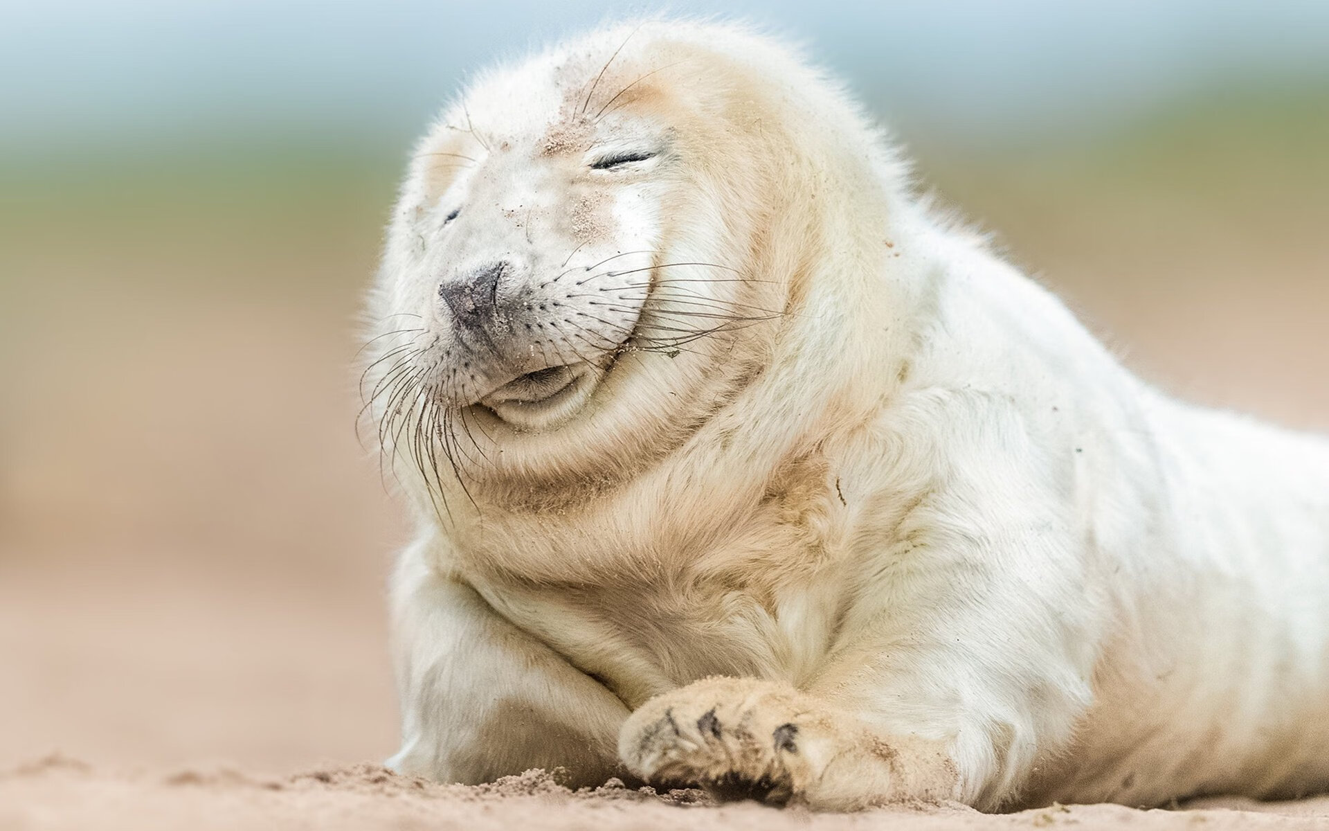 当足球后卫站上NBA赛场，巴斯托尼的三分雨浇灭玻利维亚