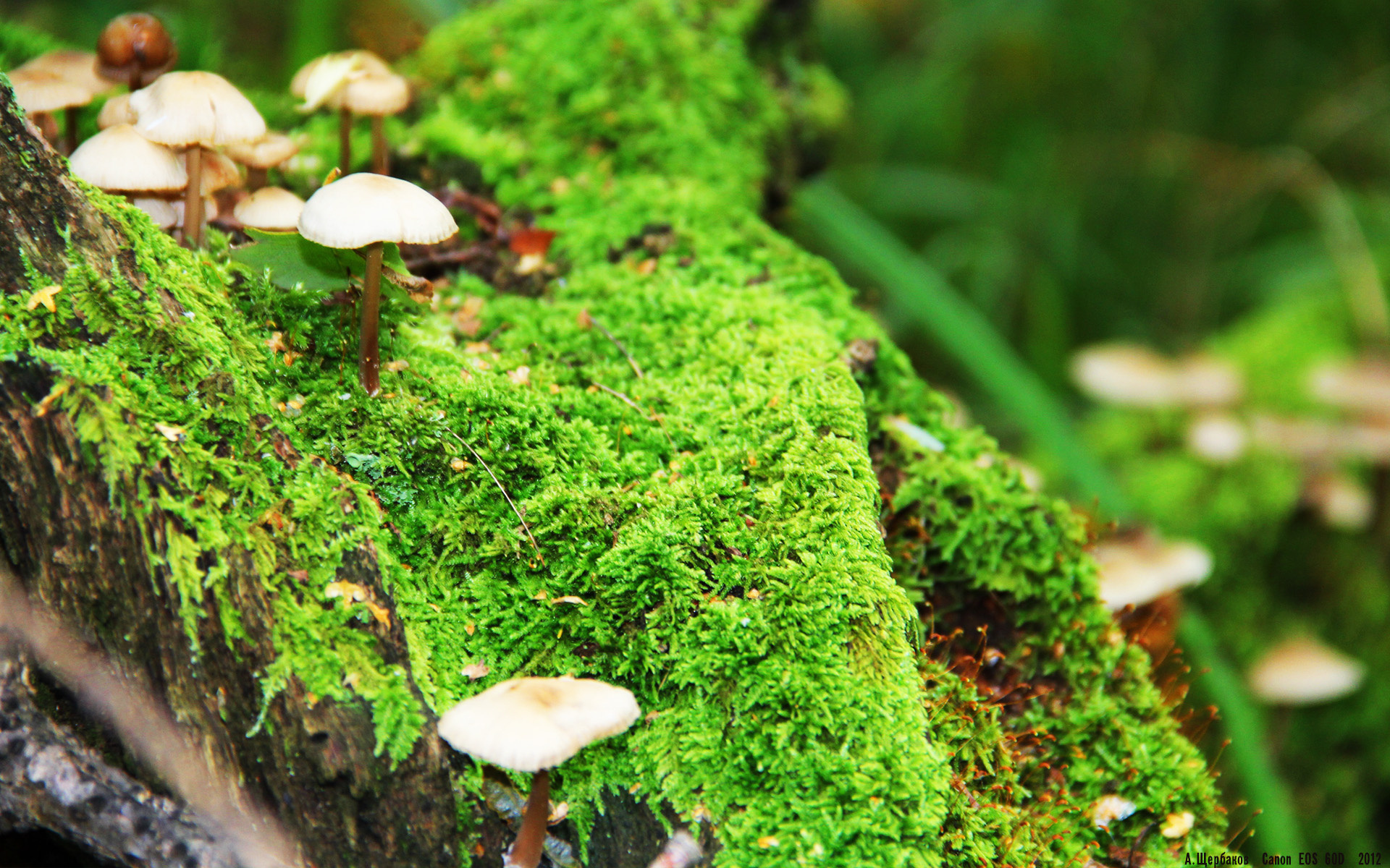 爱游戏在线-冷门引援成关键先生！皇马焦点战，奥利维耶完成自我救赎