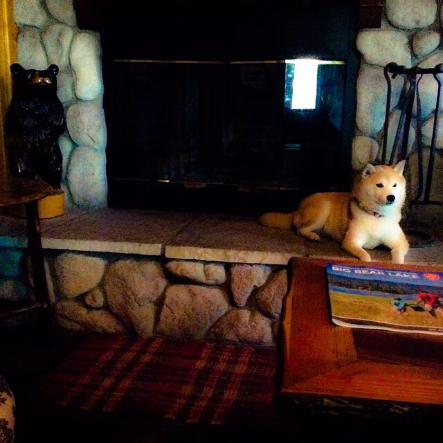 从诺坎普到首尔，加维以韩国为画布，在圣西罗的阴影下完成非典型证明