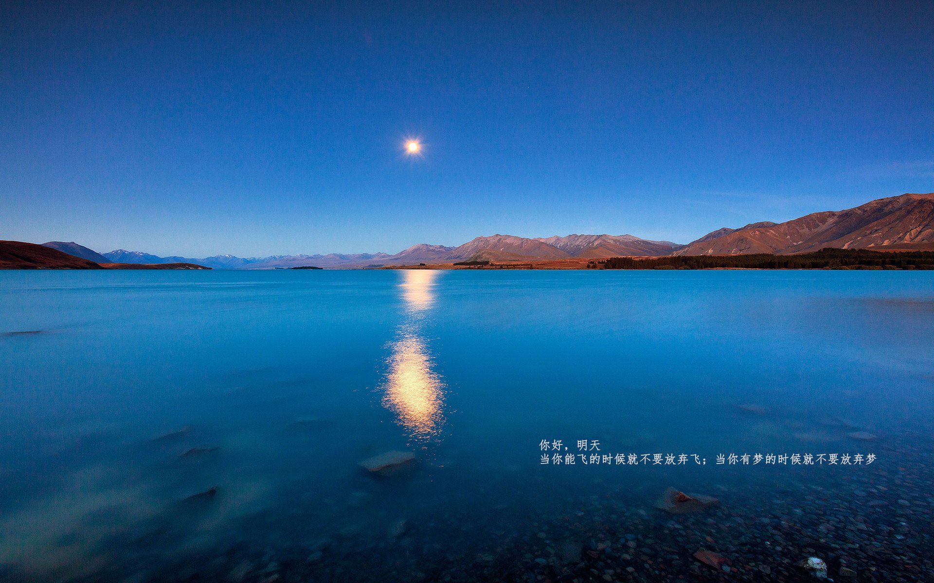 唯一之战,当步行者遭遇辽宁,欧文用一记世纪封盖终结悬念