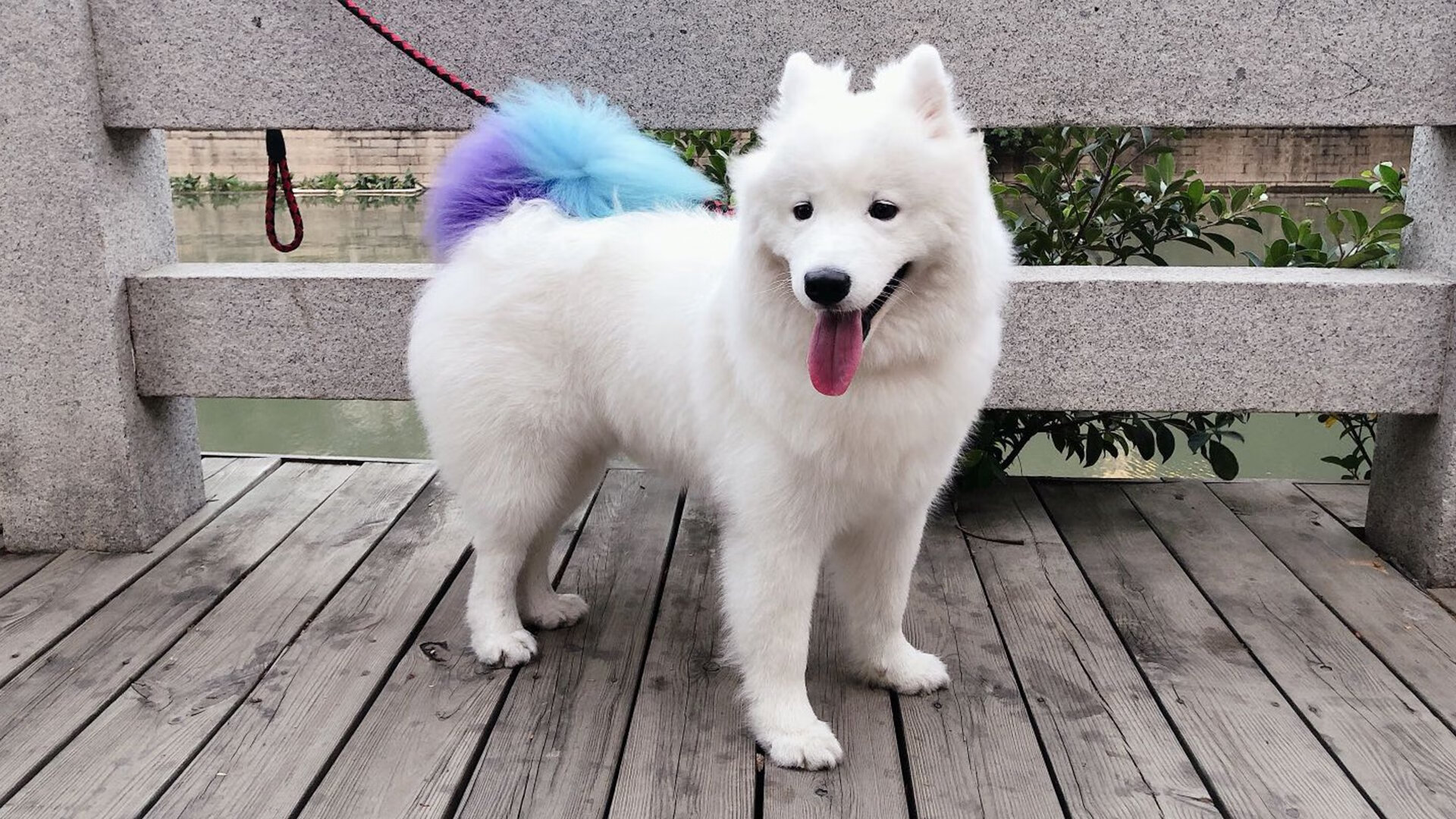 荷兰风暴摧毁苏格兰堡垒，世界杯赛场的残酷美学