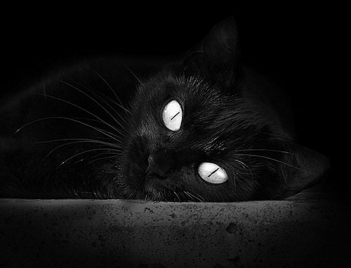 街道赛上的篮球旋风，太阳队以F1速度强势超越魔术，拿下焦点战