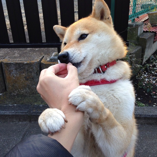 绝境重生!卡瓦哈尔生涯之夜,土耳其1分险胜中国背后的孤独英雄