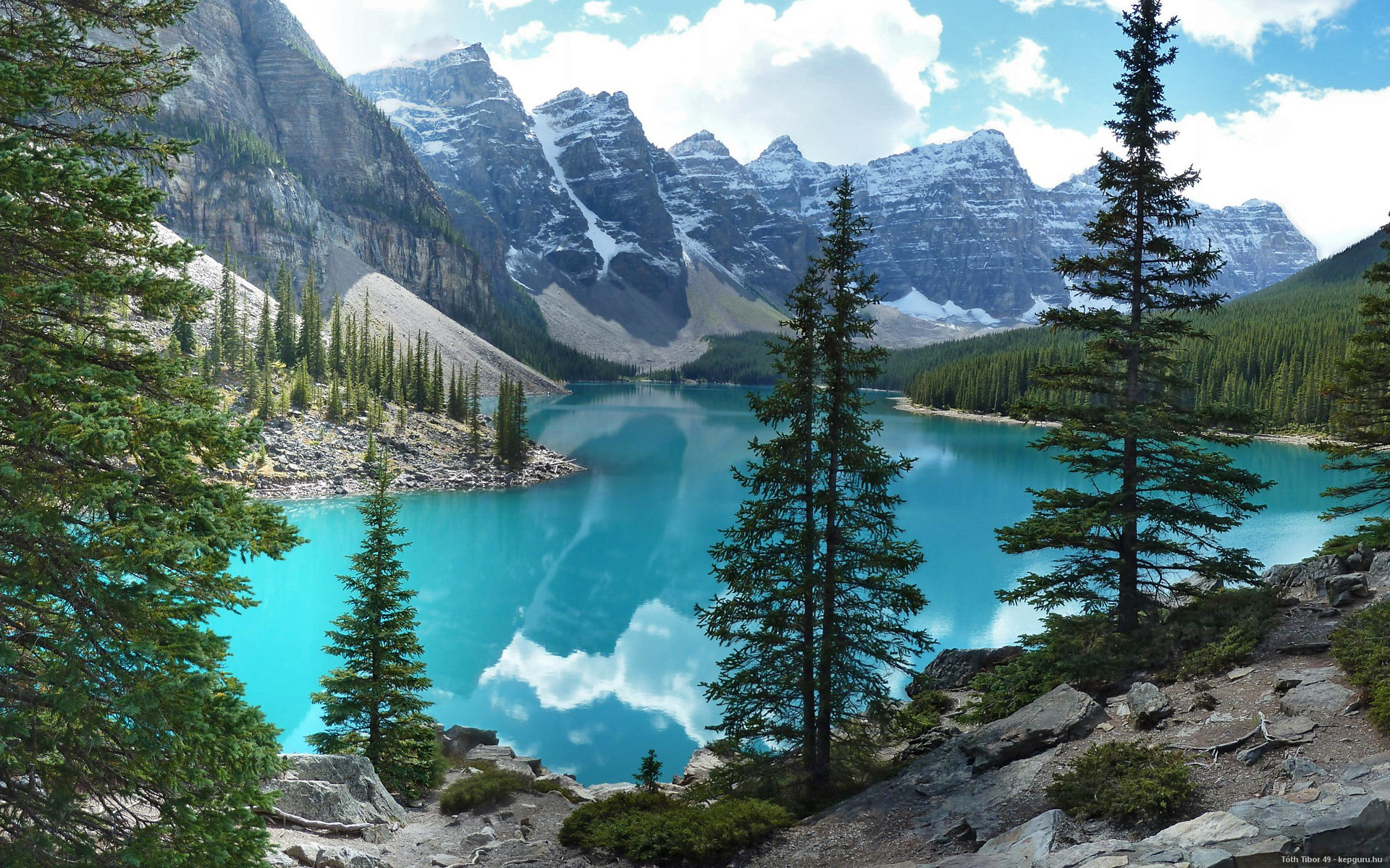 铁血压制与致命一击，勒沃库森征服苏格兰之夜，罗德里加冕为王
