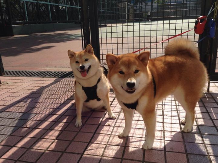 魔法丝线，内马尔在美加墨之夜的中场密码