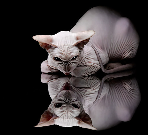 魔法丝线，内马尔在美加墨之夜的中场密码