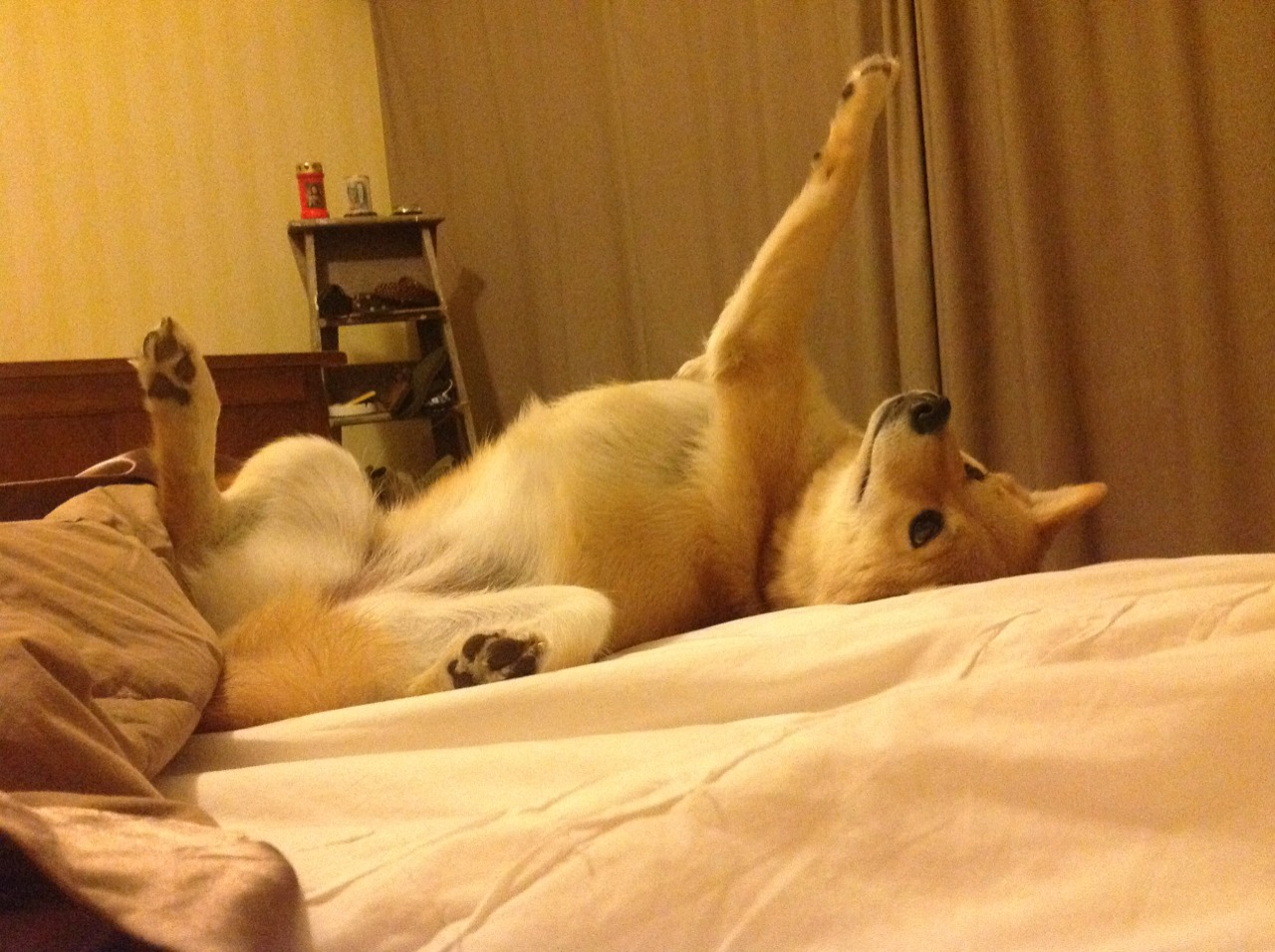 爱游戏娱乐-评分拉满的夜晚，英格拉姆为外援二字正名