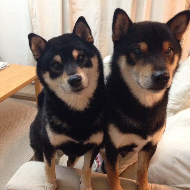 破局者，从NBA季后赛到沙特战略的全球启示