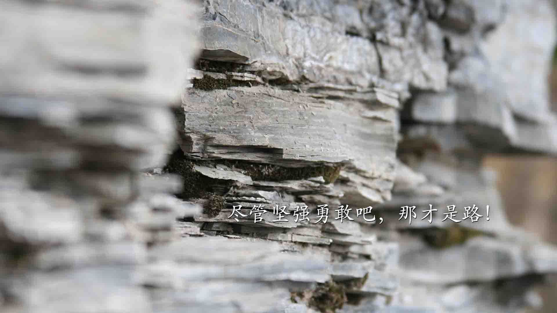暗夜中的闪电，2026世界杯黑马之战，哥伦比亚碾压伊朗，登贝莱如何撕裂亚洲防线