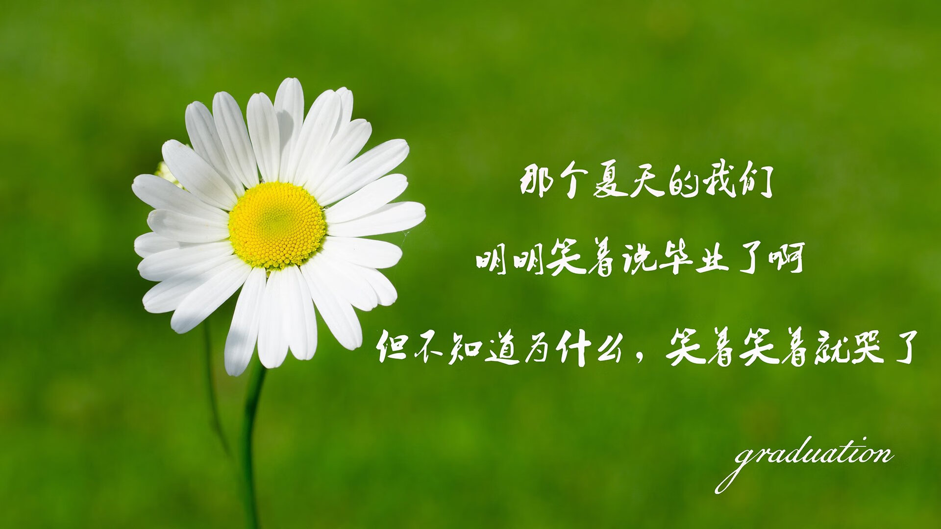 很有戏剧张力。让我们先扩展思维,构思一个能抓住眼球的标题,再展开叙述